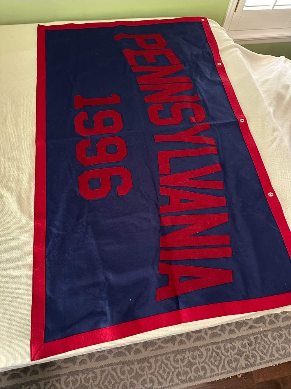 Vintage 1996 UPenn University of Pennsylvania Felt Banner Flag The Nixon Co Ivy - Picture 3 of 4
